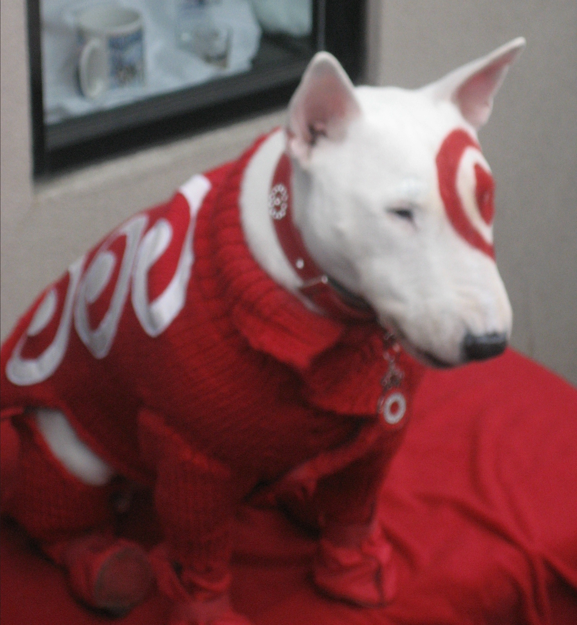Target Mascot